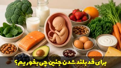  برای قد بلند شدن جنین چی بخوریم؟ مواد غذایی برای قد بلند شدن جنین