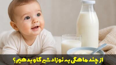  از چند ماهگی به نوزاد شیر گاو بدهیم؟ فرنی با شیر پاستوریزه از چند ماهگی