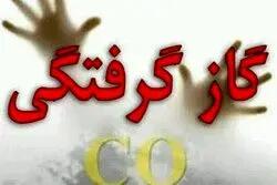  مرگ ۸۳۱ نفر بر اثر گاز منوکسیدکربن در سال ۱۴۰۴