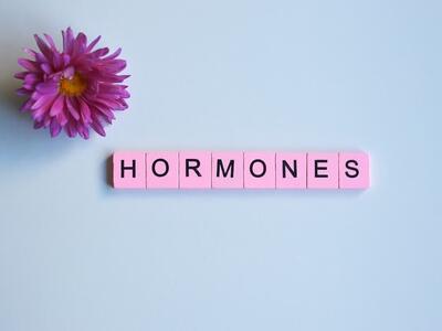  تغییر فصل با هورمون‌های ما چه می‌کند؟/ اضطراب و کم‌اشتهایی، ارمغان بهار/ چطور بدن را با تغییر آب‌وهوا هماهنگ کنیم؟