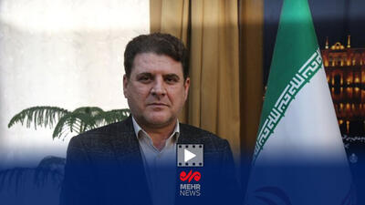  سخنگوی وزارت کشور: صدها اقدام خرابکارانه توسط نیروهای امنیتی خنثی شد