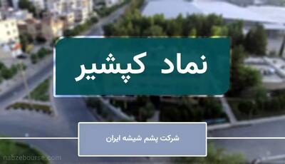  سال طلایی پشم شیشه ایران | سودآوری «کپشیر» جهش کرد؟
