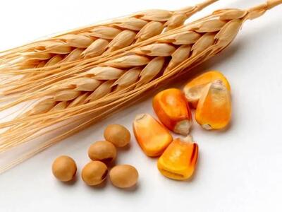  سفر ترامپ به چین؛ از بیزنس ۳۰ میلیارد دلاری تا تقابل بر سر تنگه هرمز