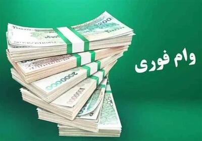  از طرح کیش‌یار چه می‌دانیم؟/ اعطای وام فوری 300 میلیونی به کیشوندان - تسنیم
