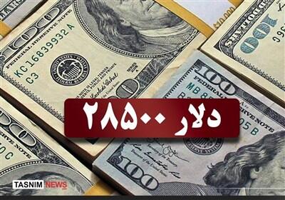  کاهش جوجه‌ریزی در پی سیاست‌های ارزی؛ انتقاد از عدم اجرای بسته 700 همتی - تسنیم