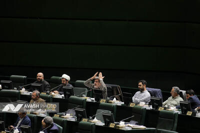  حاجی‌بابایی: مجلس موافق افزایش اعتبار کالابرگ الکترونیکی است