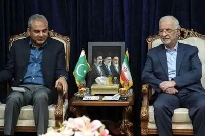  منابع دیپلماتیک: سفر وزیر کشور پاکستان به ایران، با هدف جلوگیری از فروپاشی کامل مذاکرات بود