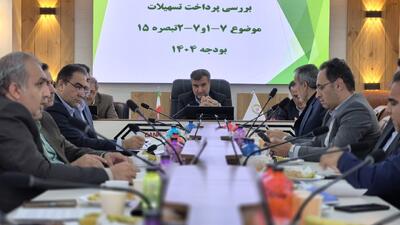  پرداخت ۸۰ درصدی تسهیلات مشاغل خانگی در ایلام؛ تلاش برای عبور از مرز ۹۰ درصد