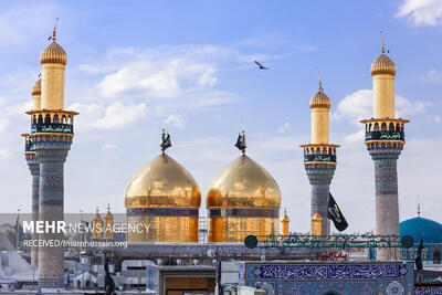  امام جواد(ع) فقط با علما گفتگو نمی‌کرد/سیره ارتباطی جامع با عموم مردم