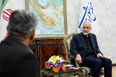  قالیباف در دیدار با وزیر کشور پاکستان: حوادث اخیر نشان داد که حضور آمریکا در منطقه زمینه ناامنی را فراهم می‌کند