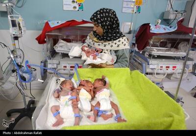  زلزله خاموش جمعیتی در ایران؛ سقوط نرخ باروری به 1.4 - تسنیم