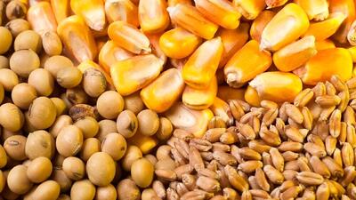  برای تامین نهاده اردیبهشت و خرداد مشکلی نداریم‌