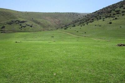  ذخیره‌سازی ۲۰ میلیارد مترمکعب آب در مراتع ایران