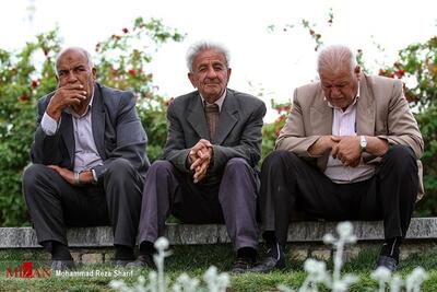  پرداخت حقوق بازنشستگان تامین اجتماعی از سه شنبه آغاز می‌شود