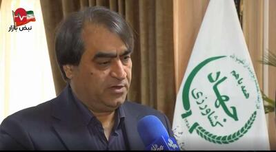  عرضه نامحدود مرغ منجمد در سراسر کشور