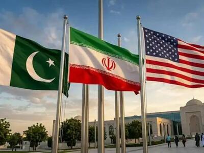  مدیر مرکز مطالعات پاکستان: وزیر کشور ما سفر به تهران را برای دریافت پیشنهادی که به جنگ پایان دهد، دو روز تمدید کرد