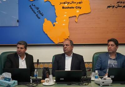  فرماندار بوشهر: 917 واحد صنفی بازرسی و 309 پرونده تخلف تشکیل شد - تسنیم