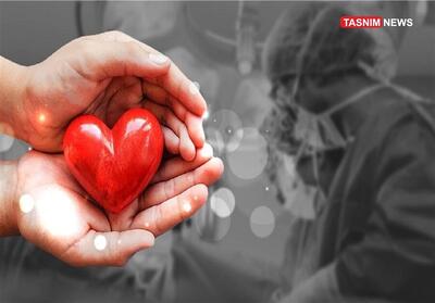  انجام 85 هزار پیوند عضو در کشور/ ثبت نشان اهدای عضو در کارت پرستاران - تسنیم