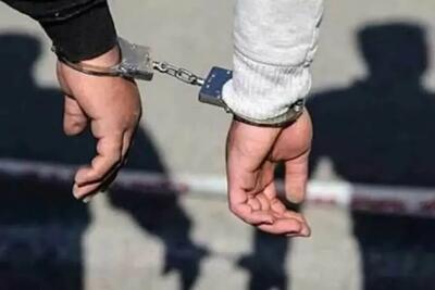  کنایه به بازداشت ۶۵۰۰ جاسوس در ایران