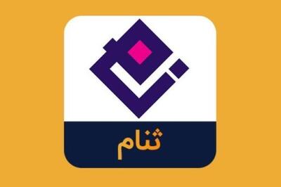  توقف موتور درآمدزایی در «ثنام»؛ درآمد عملیاتی و سود ناخالص به صفر رسید