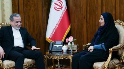  تصاویر / دیدار وزیر راه با عراقچی و جمعی از معاونان