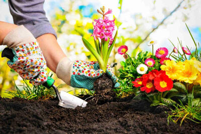  6 دلیل علمی برای اینکه همین امروز باغبانی را شروع کنید