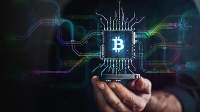  تجارت سیب‌زمینی بازار نفت و بیت‌کوین را پشت سر گذاشت !