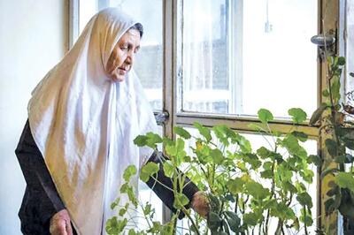  خانه‌ها در سکوت؛ زنگ خطر پیری جمعیت و تنهایی نسل آینده