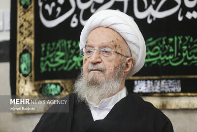  مواضع آیت‌الله مکارم شیرازی در بحران‌ها آرامش‌بخش جامعه وامیدآفرین بود
