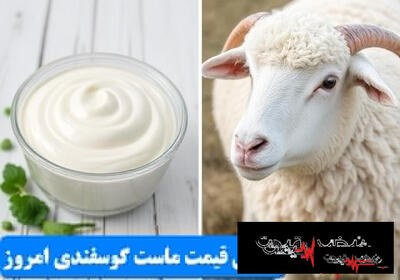  ماست گوسفندی اکسیر سلامتی یا سم خطرناک؟ | مسمومیت با ماست‌های غیربهداشتی | این نشانه‌های فاسد بودن را جدی بگیرید | جدول قیمت ماست گوسفندی امروز چهارشنبه ۳۰ اردیبهشت ۱۴۰۵