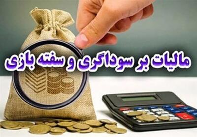  اهمال‌کاری سازمان امور مالیاتی در اجرای قانون مالی و سوداگری - تسنیم