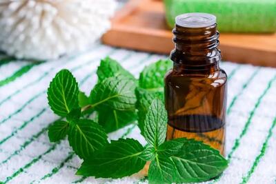  پژوهشگران درمان طبیعی ارزانی برای فشار خون پیدا کردند