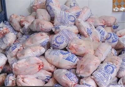  بررسی وضعیت تاب آوری و چالش های صنعت مرغ