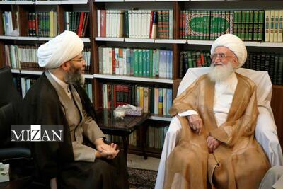  تاکید آیت‌الله نوری همدانی بر پرهیز از اختلاف انگیزی در تجمعات شبانه