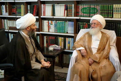  آیت‌الله نوری همدانی: در اجتماعات خیابانی نباید ذره‌ای بوی اختلاف وجود داشته باشد