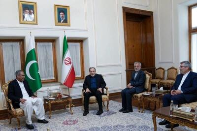  دیدار مجدد وزیر کشور پاکستان با عراقچی