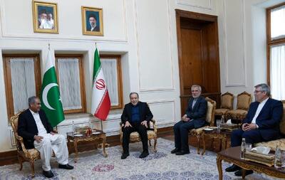  دیدار مجدد وزیر کشور پاکستان با عراقچی/ علت چه بود؟