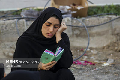  فعالین فرهنگی ۷ کشور از مظلومیت شهدای میناب و بیداری اسلامی می‌گویند