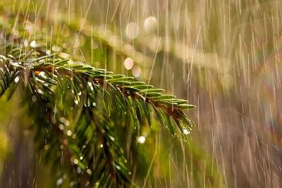  آب جیره‌بندی می‌شود؟