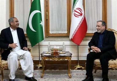  امروز جمعه ا خرداد وزیر کشور پاکستان با عراقچی دیدار کرد