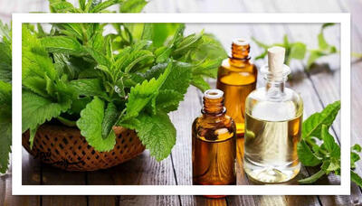  درمان طبیعی فشار خون با روغن نعنا