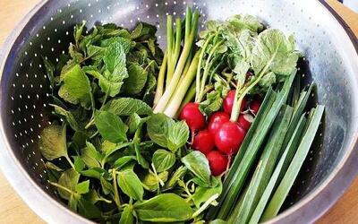  چطور سبزی‌ها را در هوای گرم سالم و تازه نگه داریم؟