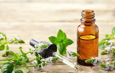  درمان طبیعی فشار خون با روغن نعنا | چرا روغن نعنا فلفلی مؤثر است؟