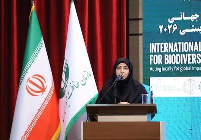  انصاری: یک میلیون و 340 هزار هکتار ‌اراضی تالابی ‌سند مالکیت گرفت - تسنیم