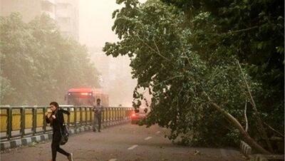  وزش باد شدید در تهران ادامه دارد