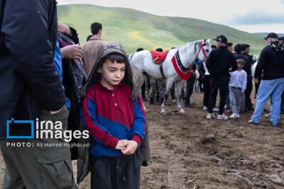  تصاویر: سی‌ویکمین جشنواره عشایر آذربایجان