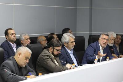  جزئیات جلسه مجلس با وزیر بهداشت درباره وضعیت دارو
