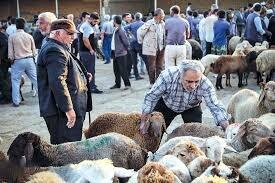  قیمت دام زنده در آستانه عید قربان اعلام می‌شود