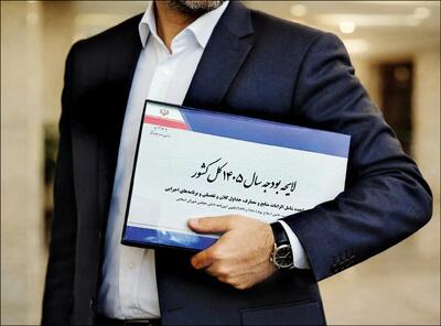  دولت باید لایحه بودجه را اصلاح کند؛ هیچ کمبودی در بازار کالاهای اساسی وجود ندارد