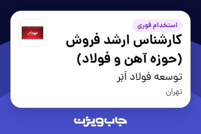  استخدام کارشناس ارشد فروش (حوزه آهن و فولاد) در توسعه فولاد اَبَر